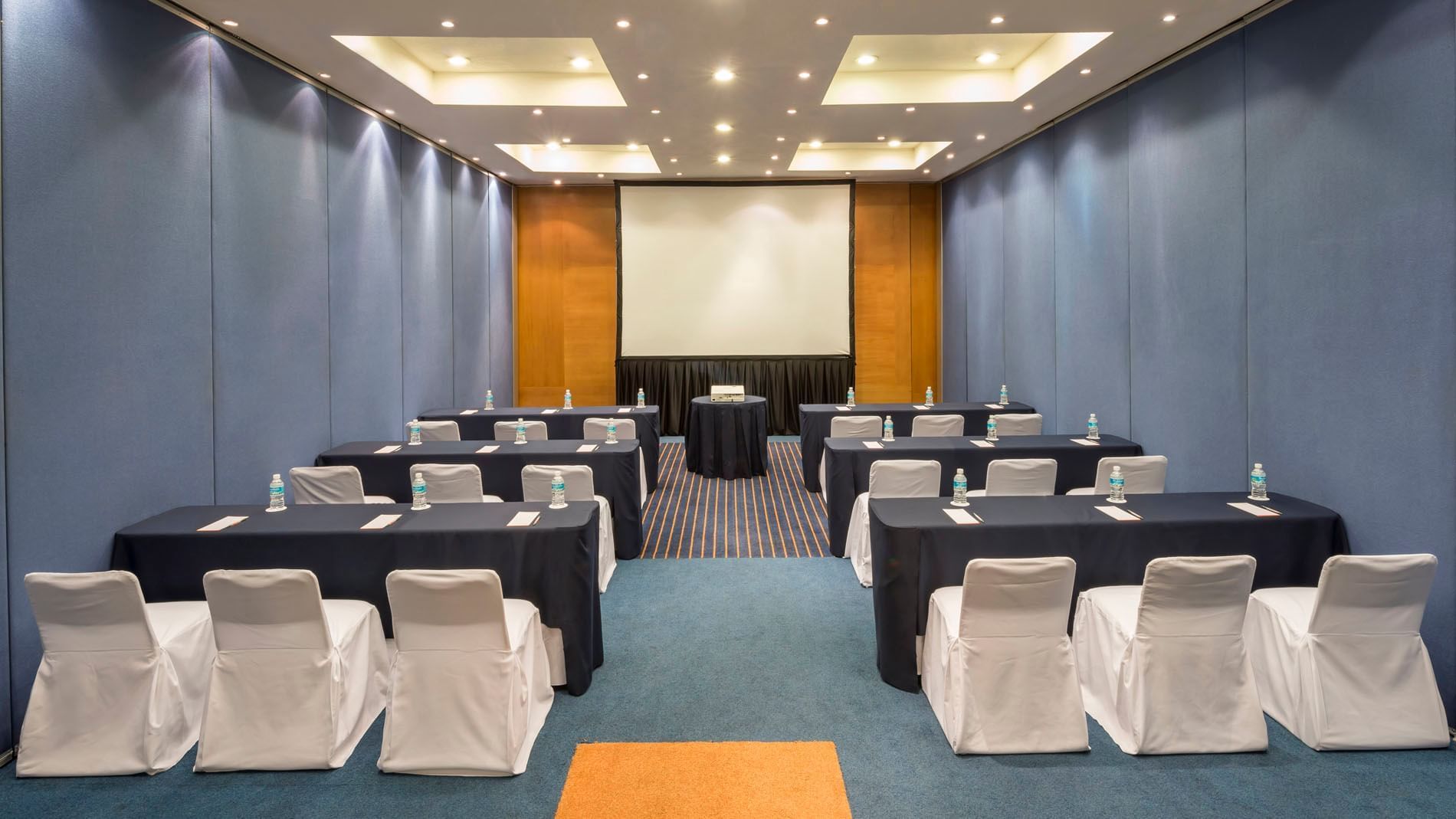Classroom set-up with a projector screen and carpeted floors in the Berlin Venue at Real Inn San Luis Potosi