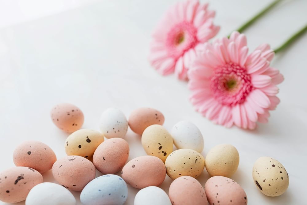 A display of pastel-colored Easter eggs with speckles beside two pink gerbera daisies.  