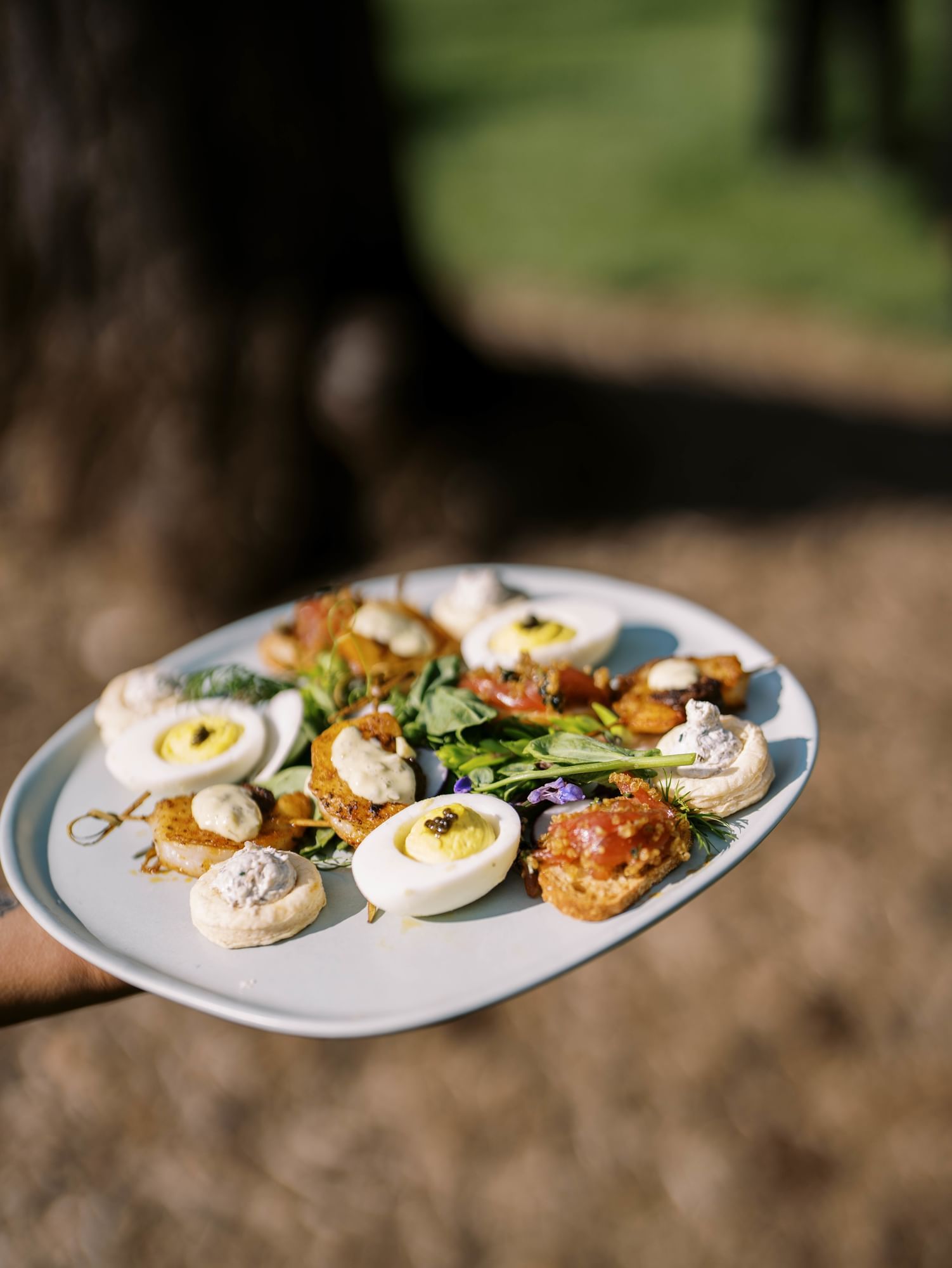Plate of appetizers including eggs, vegetables, and bread, as the main wedding plate at The Clifton Hotel in Charlottesville.