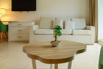 Plant pot on a table by the lounge in a Suite at Playa Blanca Beach Resort