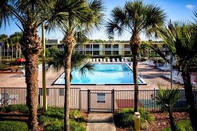 View of swimming pool with palm trees in front
