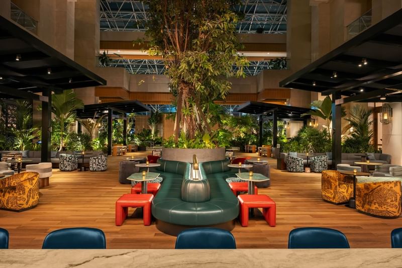 Modern bar seating area with an indoor tree and open ceiling at The Diplomat Resort