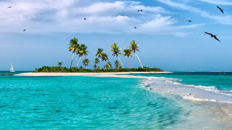 Serene tropical island with palm trees, clear turquoise waters, and a sailboat near Warwick Melrose Hotel Dallas Ballroom