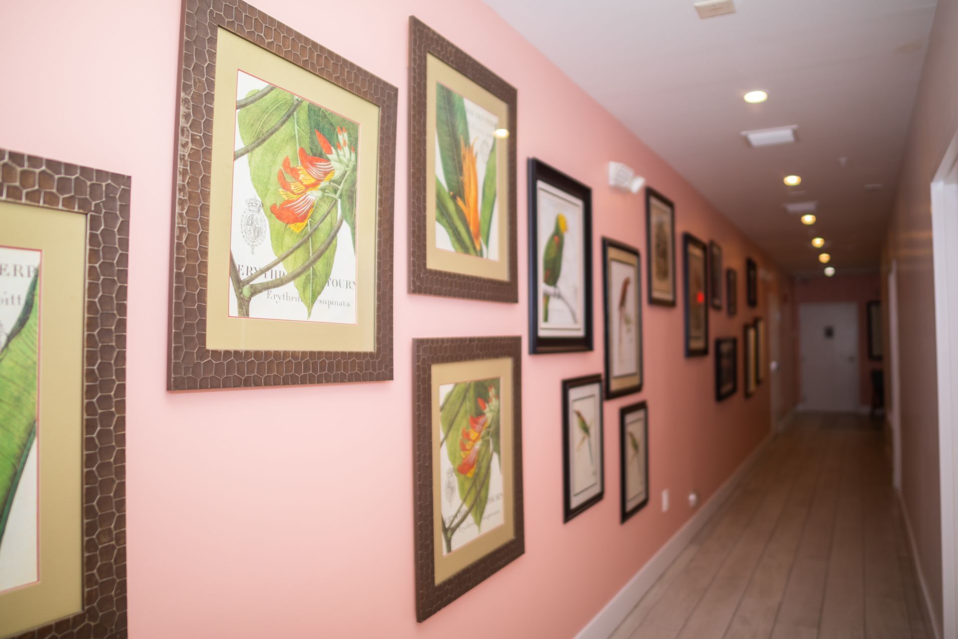 a hallway with pink walls and framed pictures