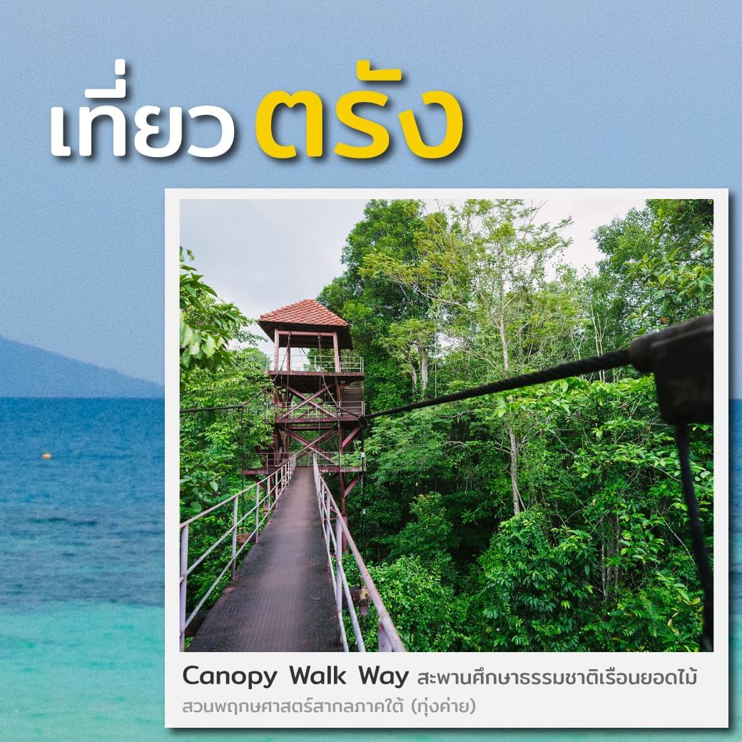Canopy Walkway at Trang - HOP INN HOTEL