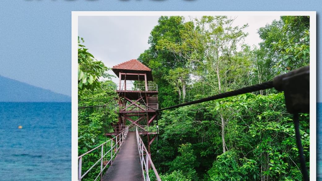 Canopy Walkway at Trang - HOP INN HOTEL