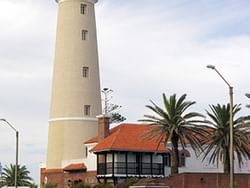 Trees by the Faro de Punta del Este near Grand Hotels Lux