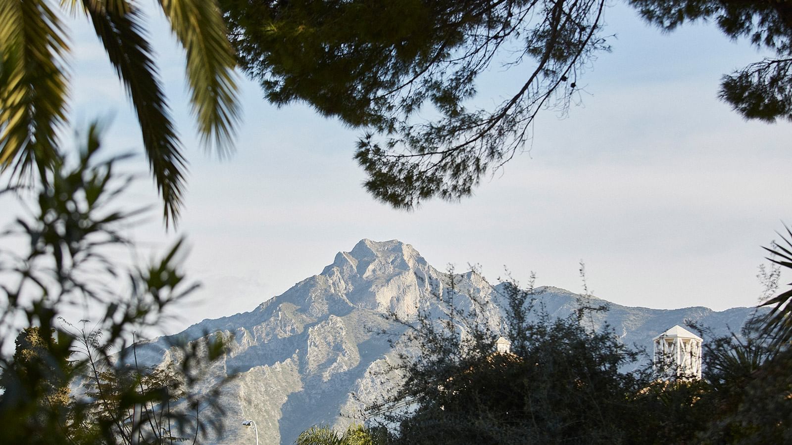 View of a rocky mountain peak framed by the dark branches of surrounding trees near the Marbella Club