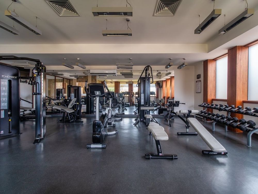 Interior of a gym with exercise machines, Curamoria Collection