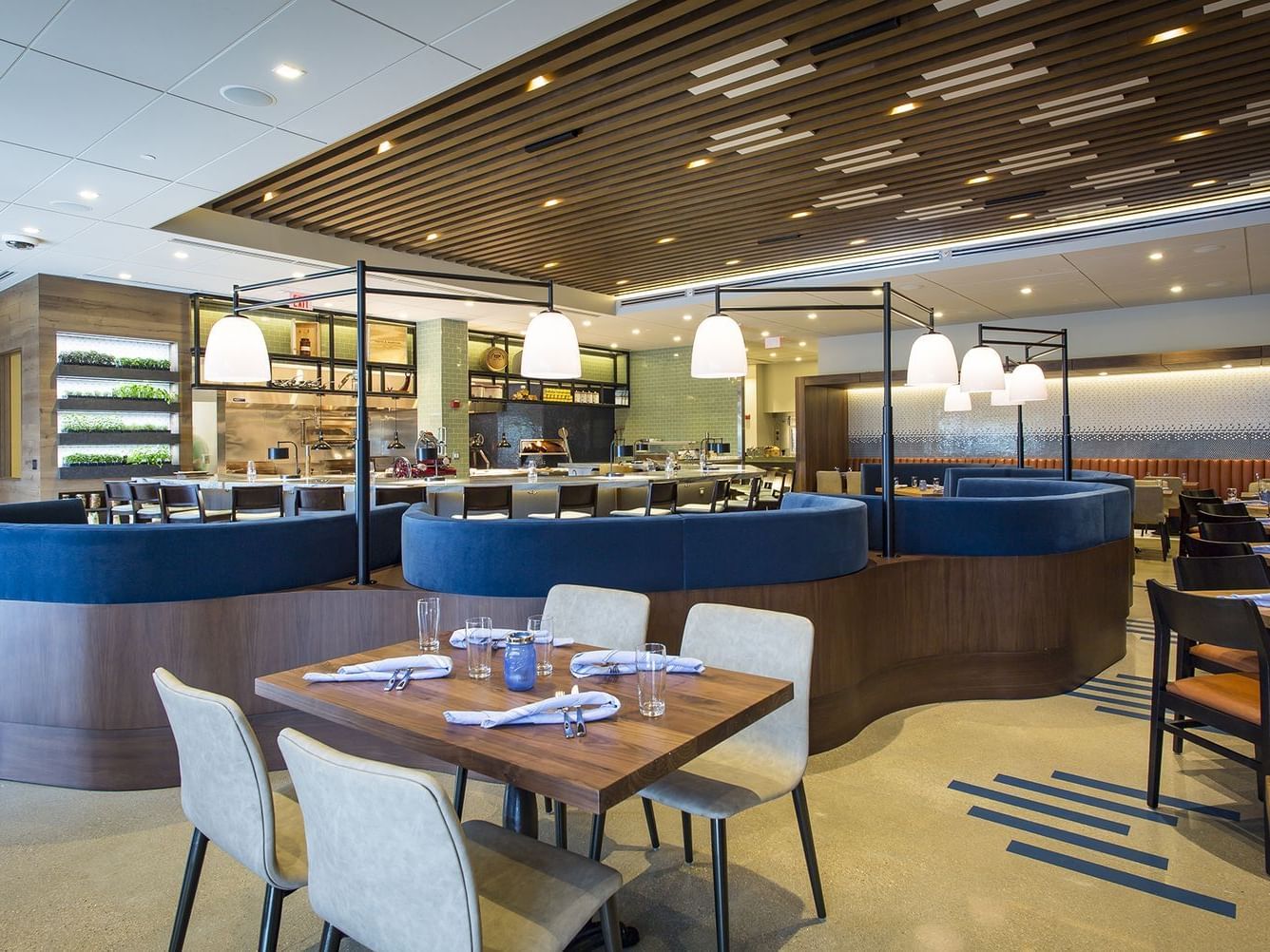 Elegant dining area with curved blue booths and modern decor at Hotel Arista in Naperville.
