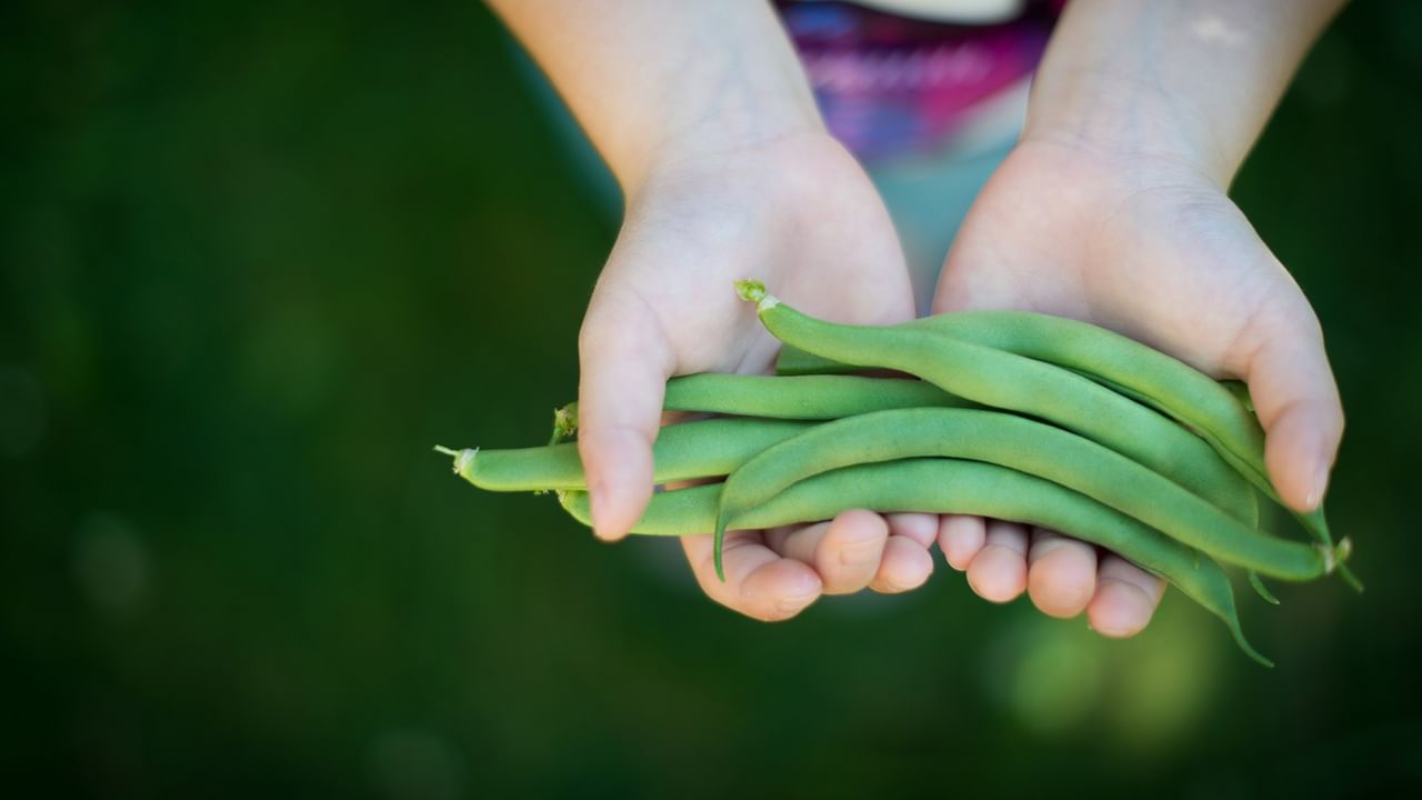 child holding fresh green beans