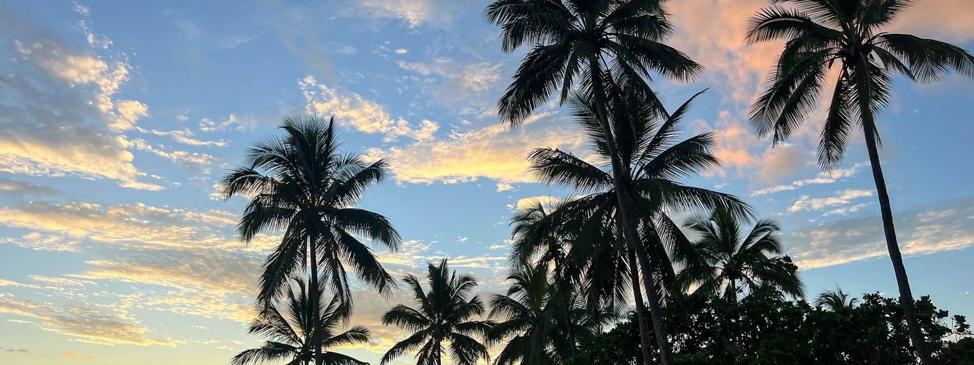 Sunset over the beach with palm trees at The Naviti Resort in Korolevu, Fiji