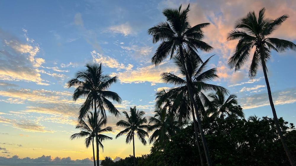 Sunset over the beach with palm trees at The Naviti Resort in Korolevu, Fiji.