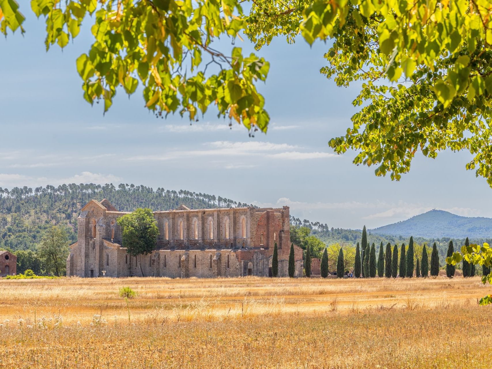 Abbazia di San Galgano near Precise Tale Poggio Alla Sala