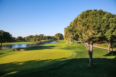 Titanic Golf Club tree and water