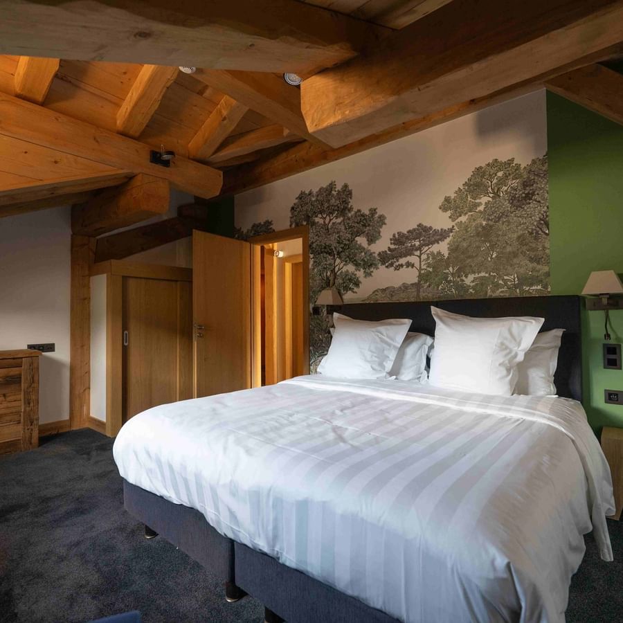 Suite Marmotte 6 Personnes