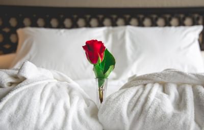 a rose on a hotel bed