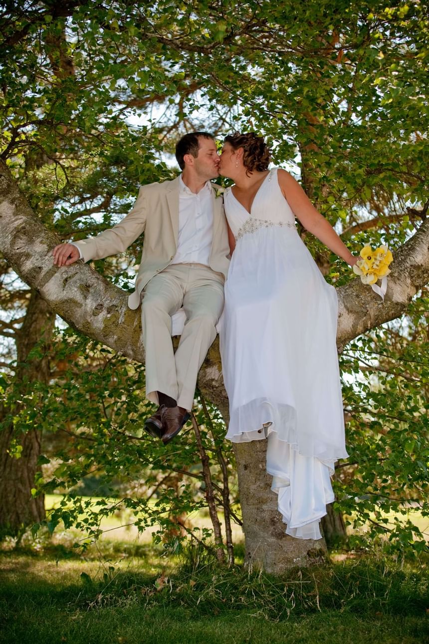 Couple kissing on a branch at Evergreen Resort