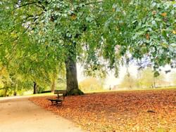 Roundhay Park