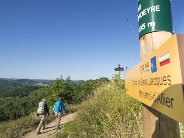 Two people hiking in the trail of Santiago De Compostela