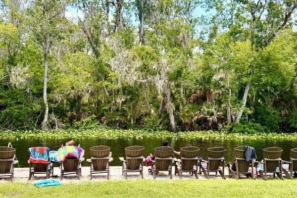 A row of wooden Adirondack chairs overlooking the Wekiva River.