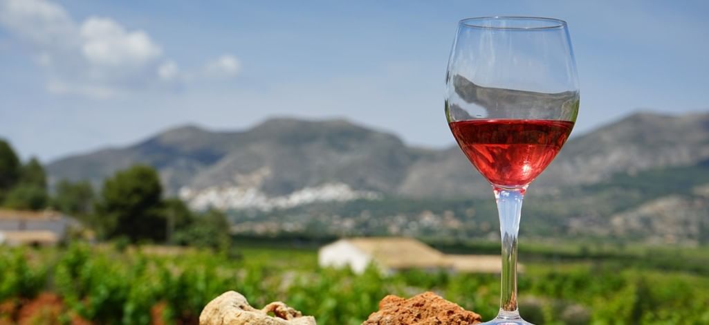 wine in a nature setting
