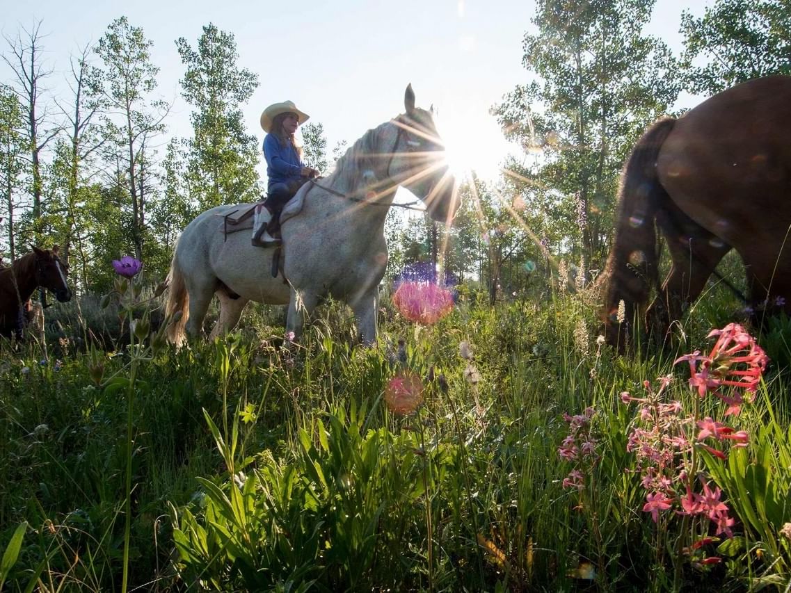 Horseback riding Jackson Hole Wyoming