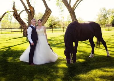 Outdoor wedding photo of a couple with a horse at The Ranch at Ucross bathed in sunlight