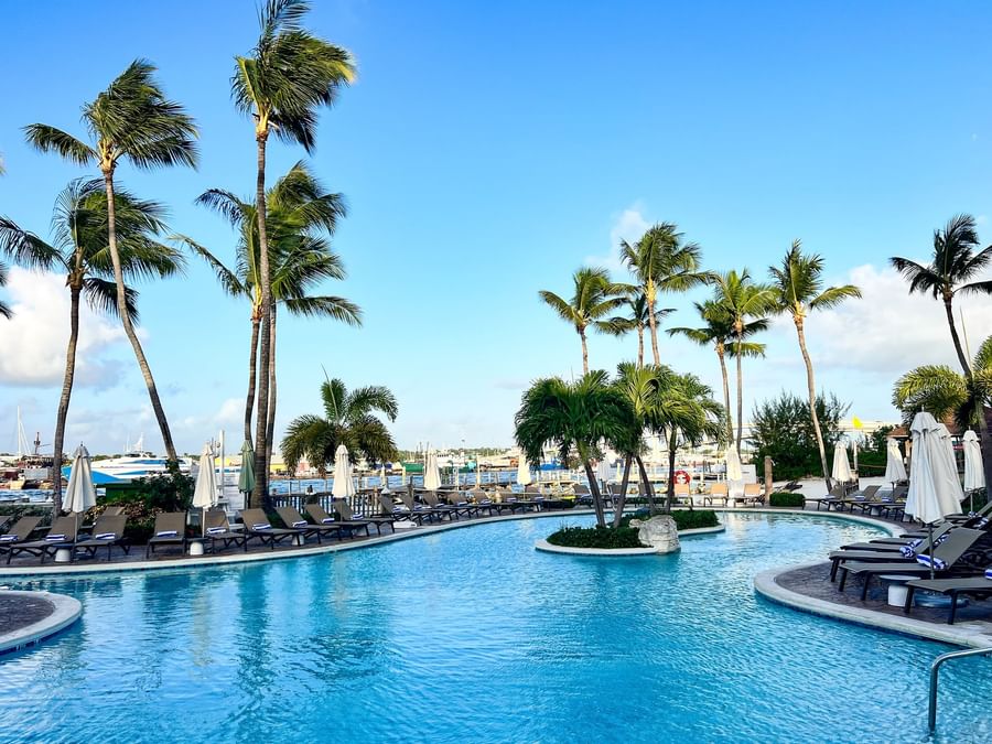 Curved pool by white umbrellas under palm trees surrounding a tropical harbor at Warwick Paradise Island Bahamas