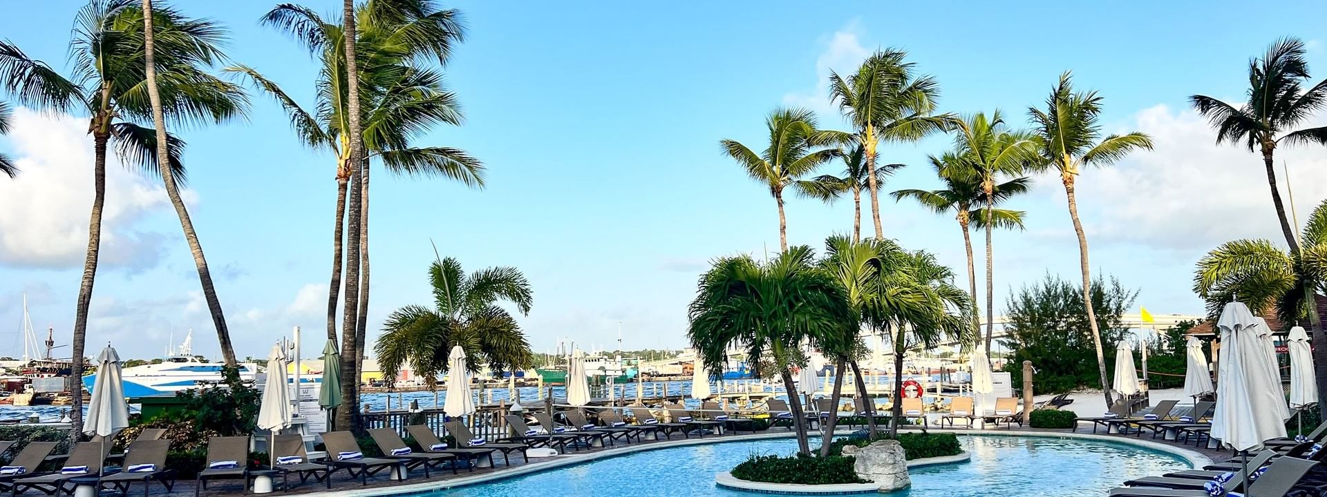 Curved pool by white umbrellas under palm trees surrounding a tropical harbor at Warwick Paradise Island Bahamas