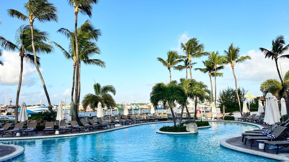 Curved pool by white umbrellas under palm trees surrounding a tropical harbor at Warwick Paradise Island Bahamas