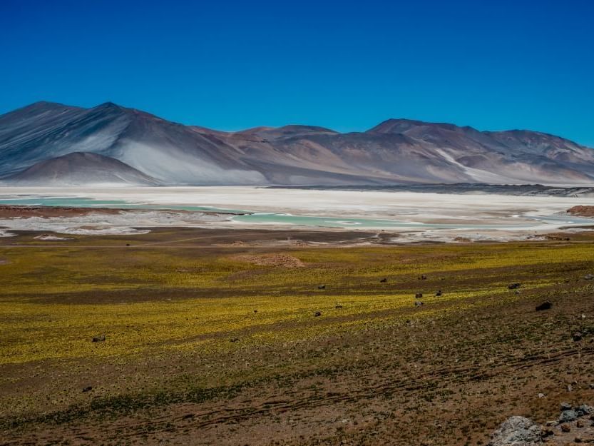 mountains & Atacama Salt Flat near NOI Casa Atacama hotel
