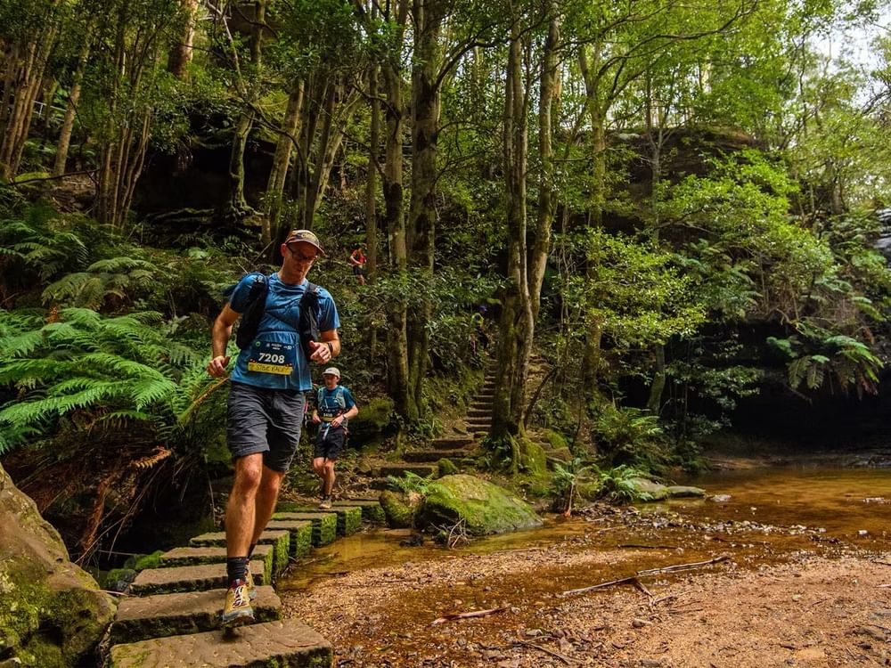 Runners crossing a forest trail with a waterfall at Ultra-Trail Australia.