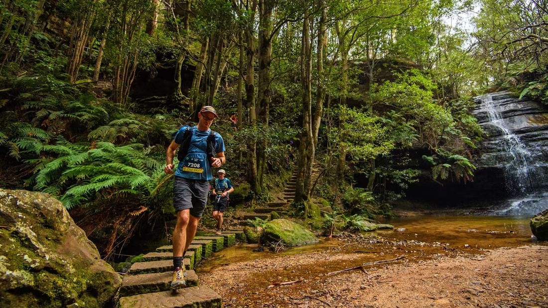 Runners crossing a forest trail with a waterfall at Ultra-Trail Australia.