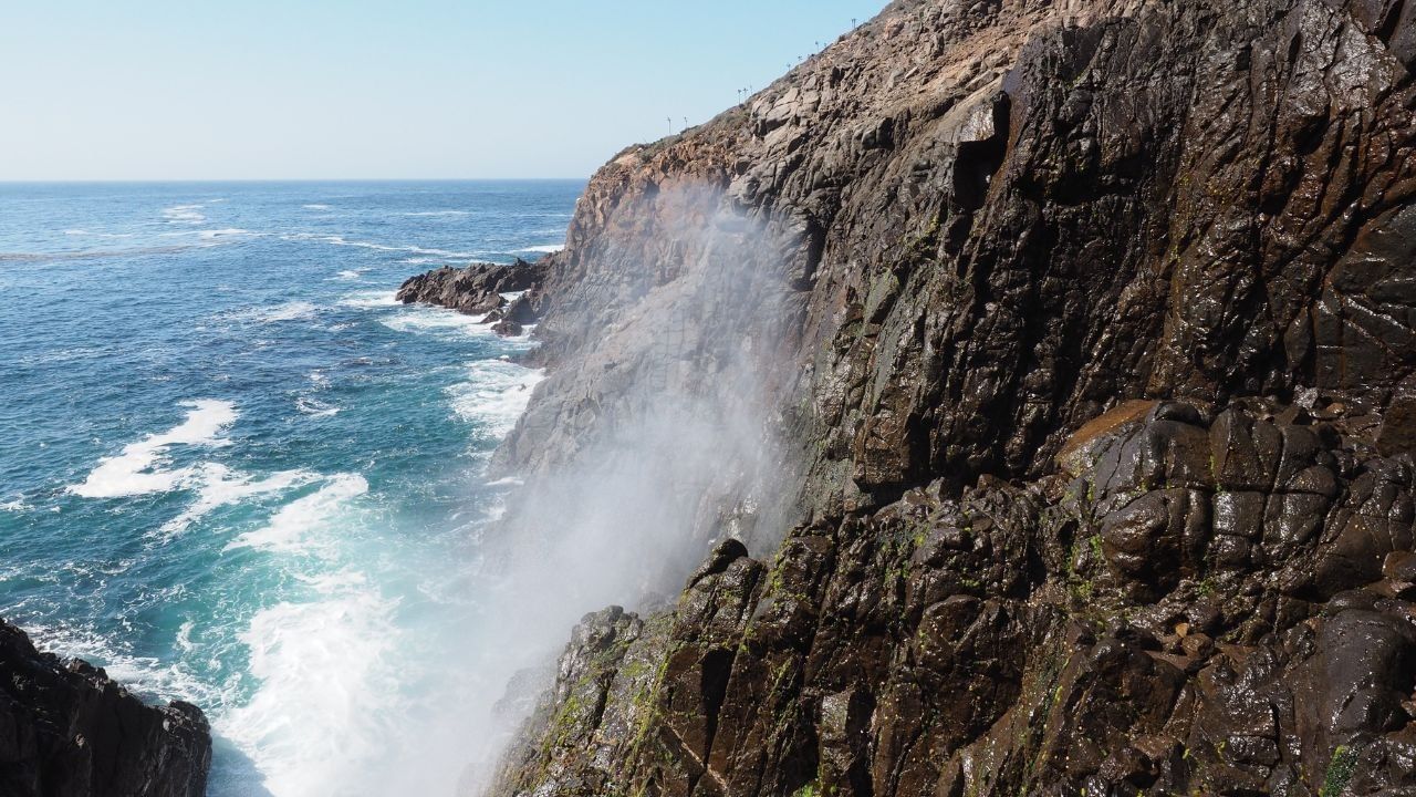 Bufadora baja california
