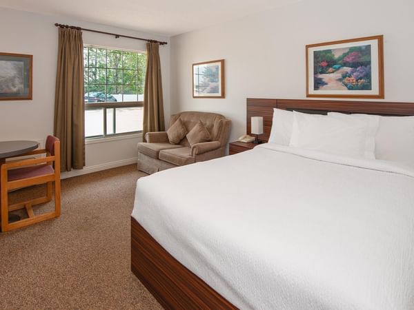 Guest room with a queen bed, work desk, TV and window