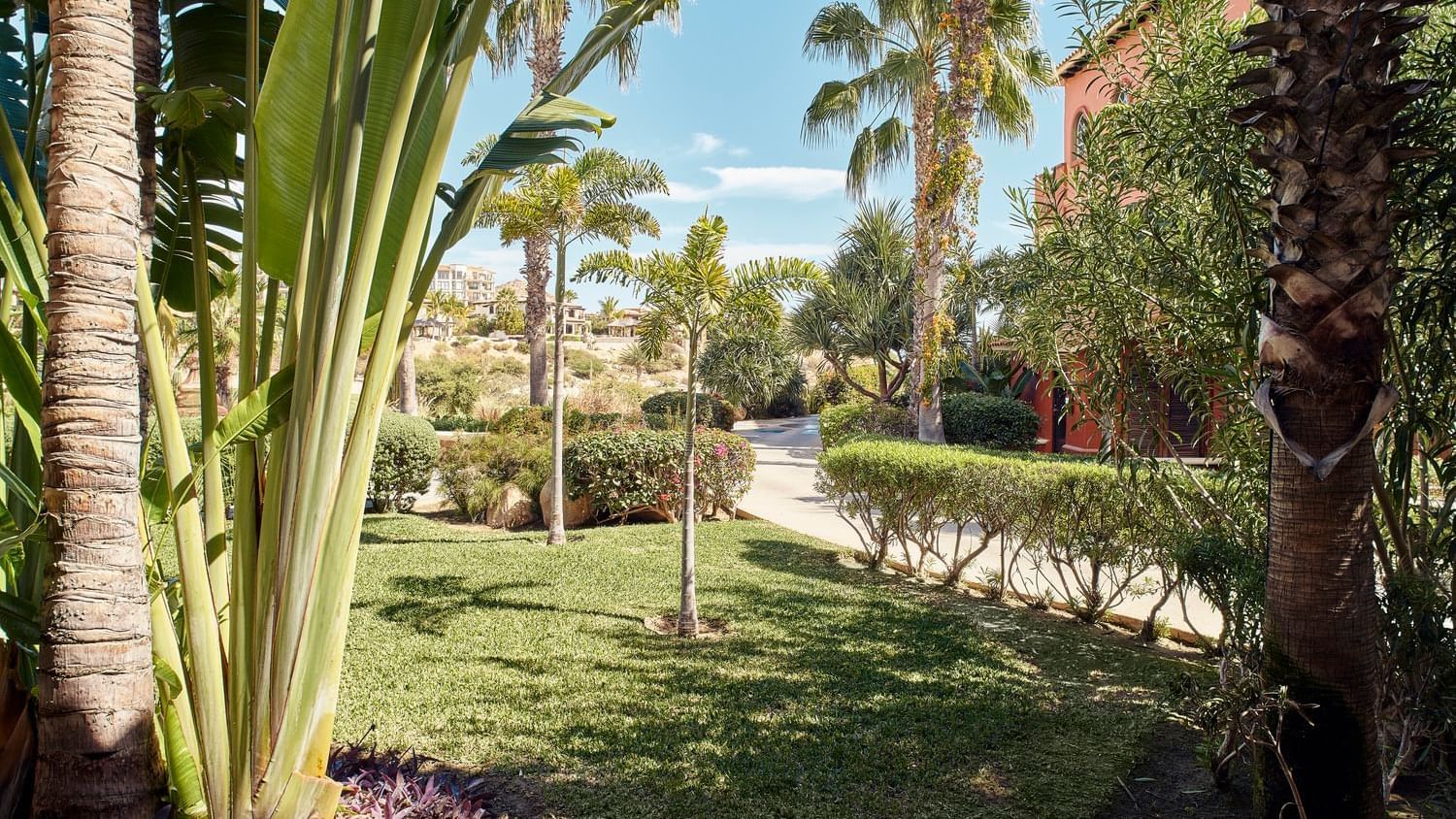 Tropical garden view with palm trees lush greenery and pathways near the Studio 2 Queen Beds at Hacienda Del Mar Los Cabos.