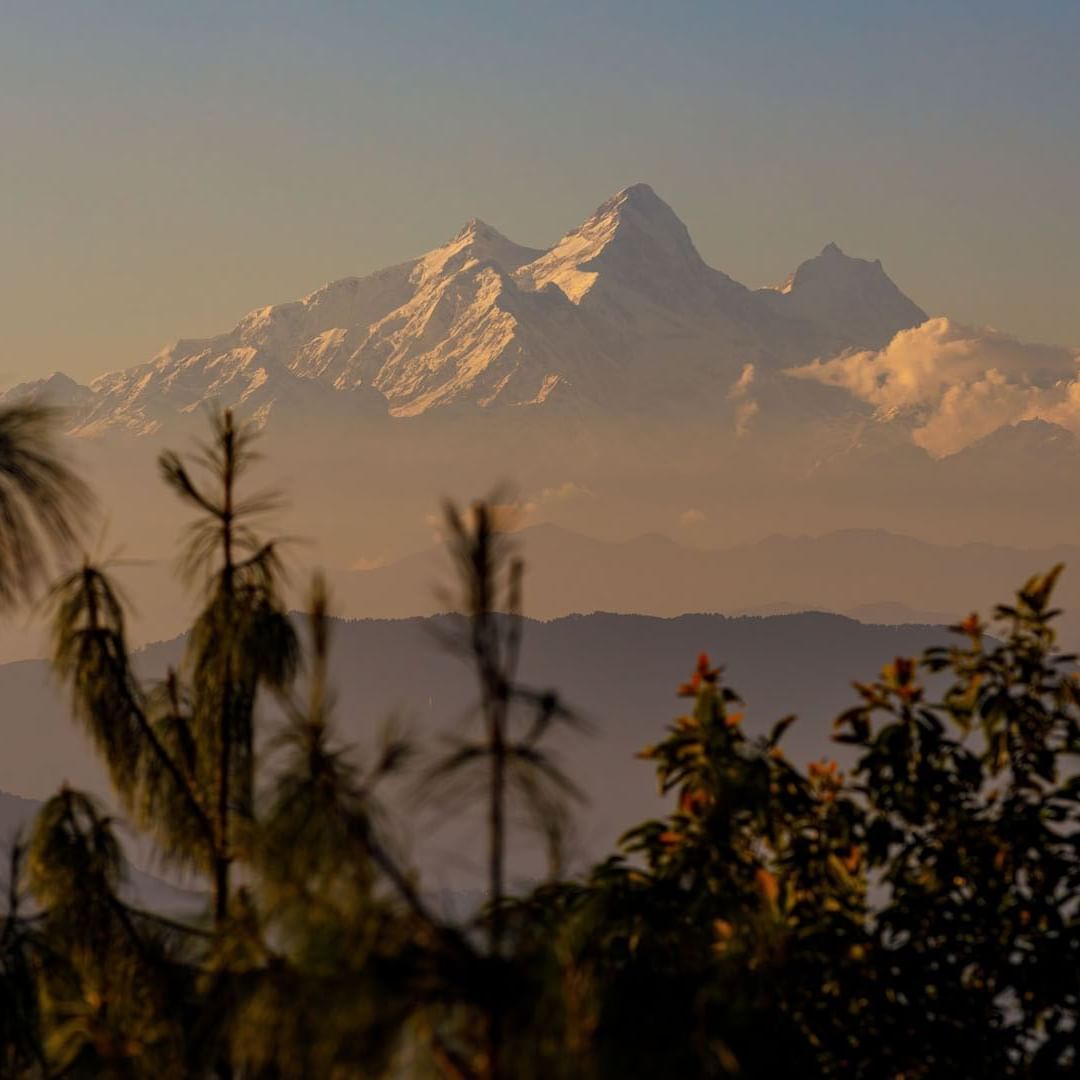 Snowy mountain peaks at sunrise, viewed through soft-focus foliage near The Terraces Resort & Spa