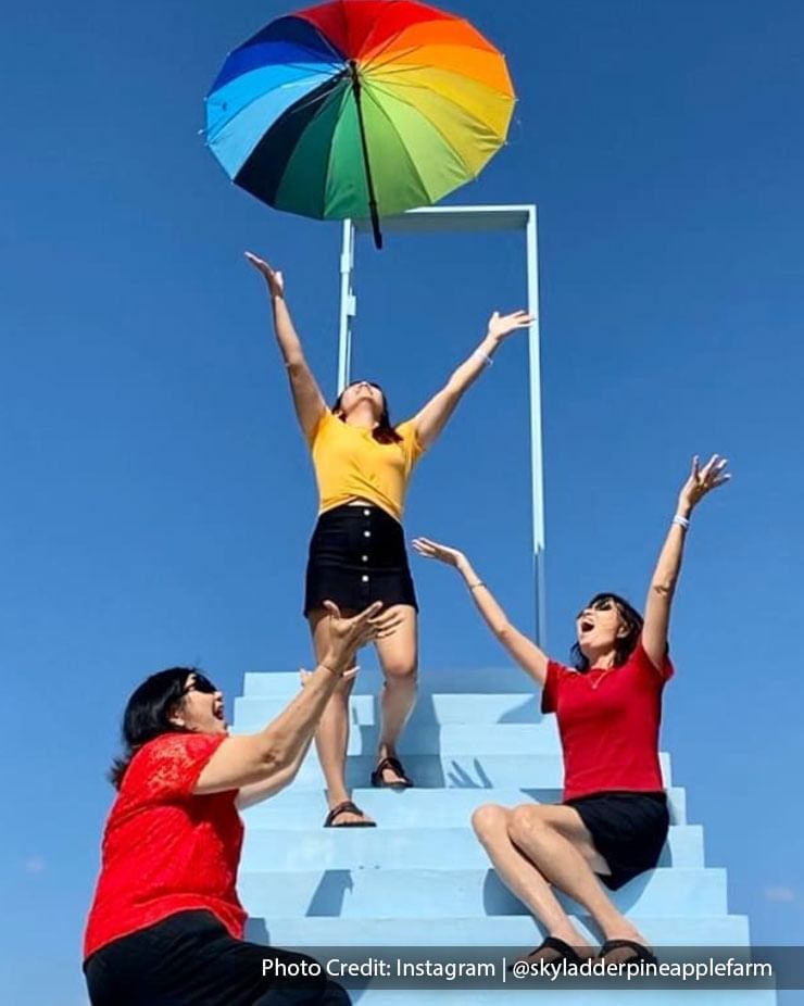 women sky ladder pineapple farm port dickson