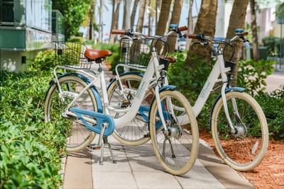 2 rentable bicycles parked on a track at Costa Beach Resort