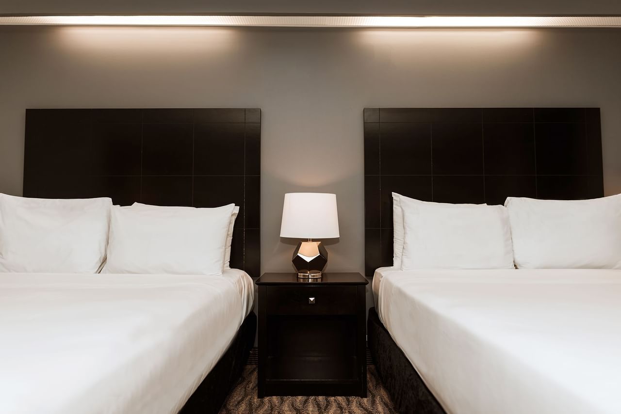 Two Queen Beds with Lamp in between