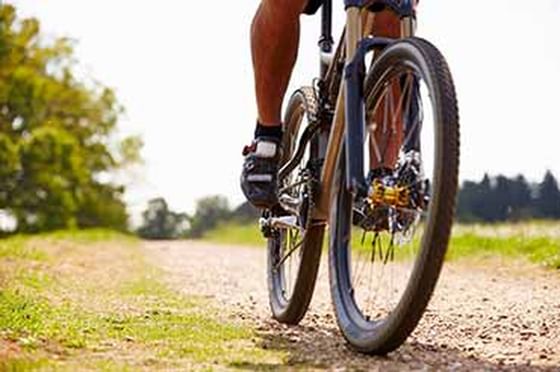 Mountain bike on a trail