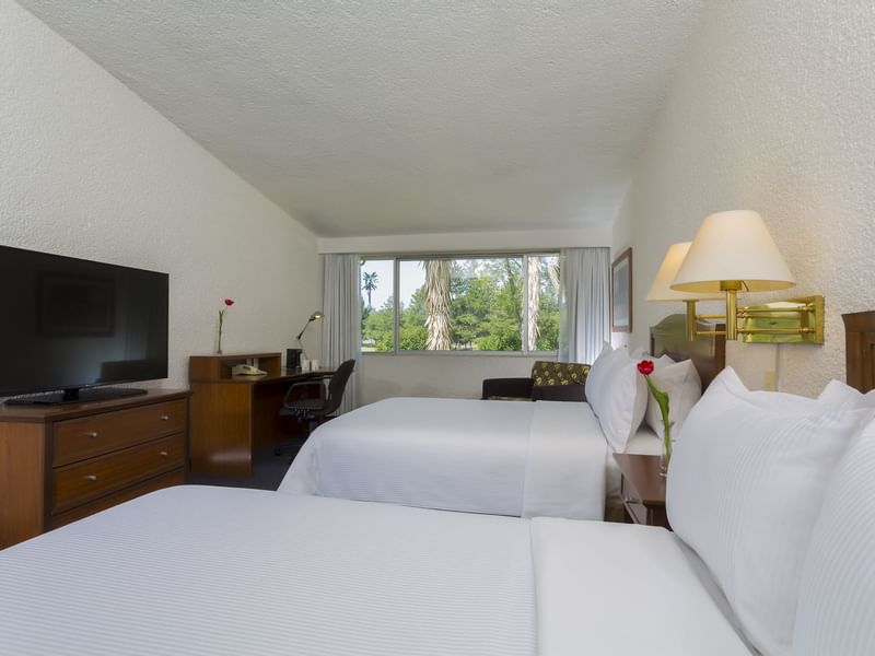 Beds, desk & TV in the Superior Double Room at Gamma Hotels