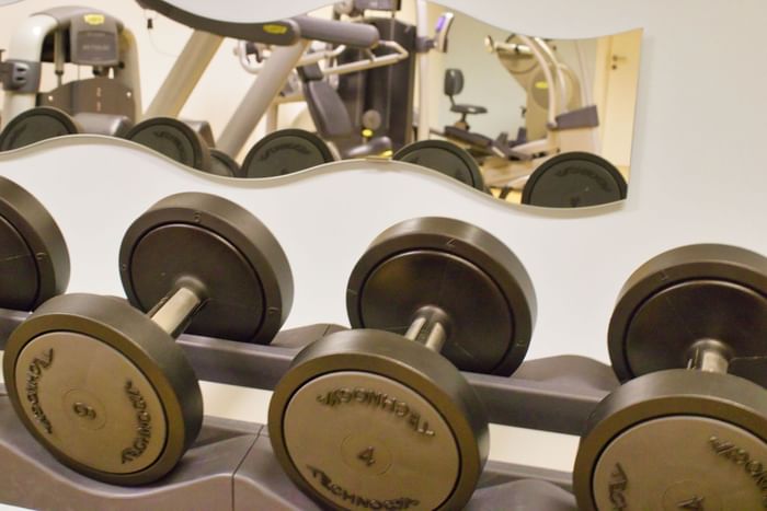 Row of dumbbells on a rack in the gym in Lausanne at Starling Hotel Lausanne