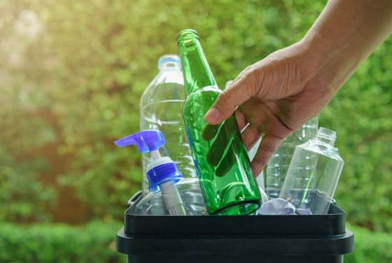 Hand placing an empty green glass bottle into a black recycling bin filled with plastic containers at Rodd Hotels & Resorts