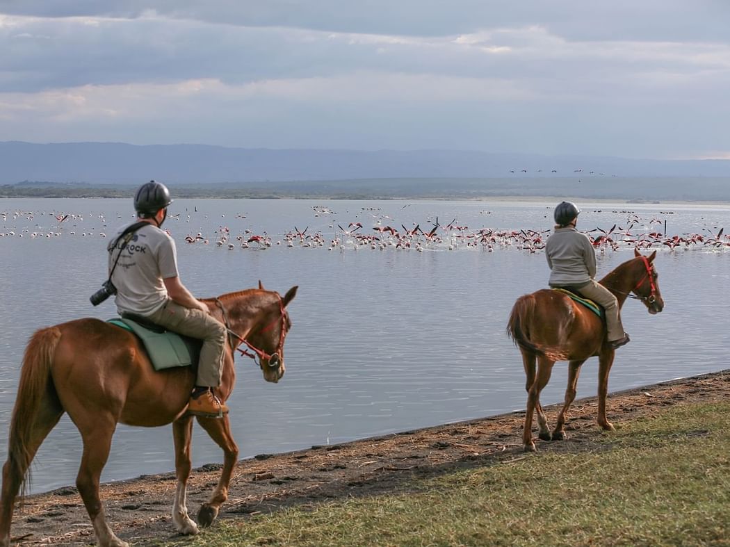 Two guests riding horses by the lake at Hotel Lake Elmenteita