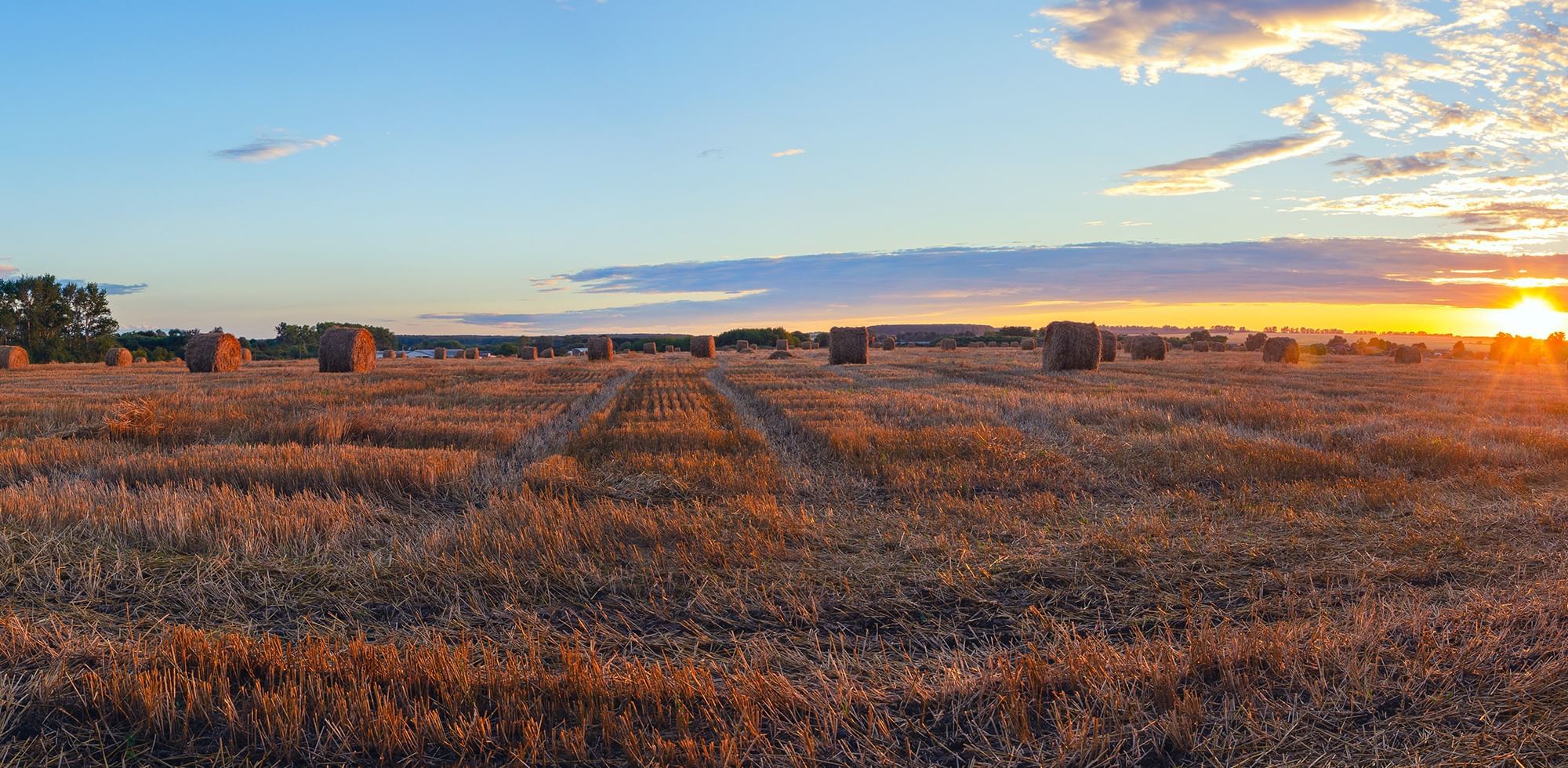 Landscape view of the Prairie field near Coast Fort St. John Hotel