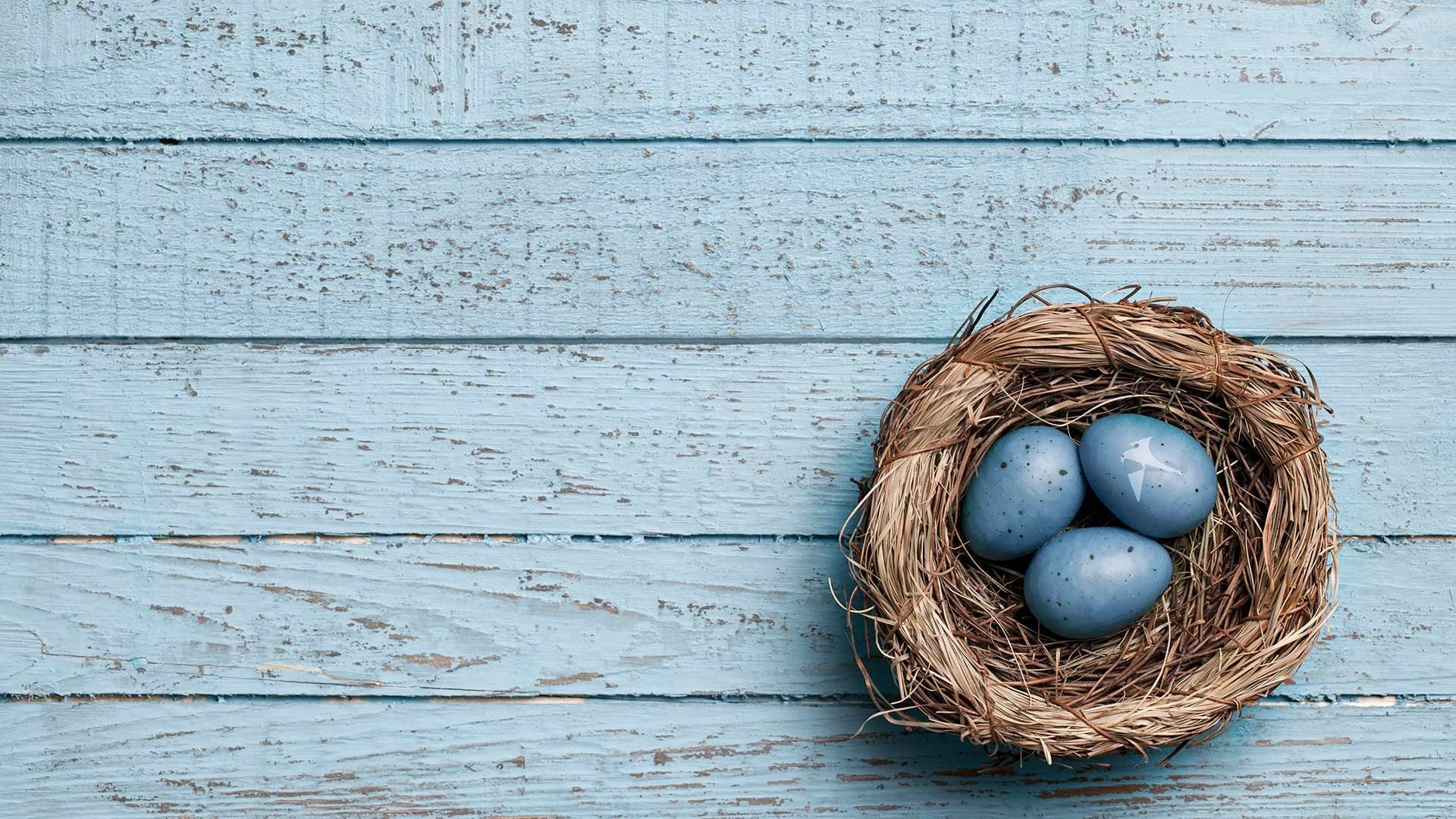 Easter eggs on a nest at Falkensteiner Hotels & Residences