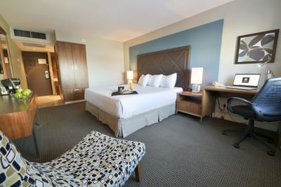 King bed with accent chair and desk with chair.