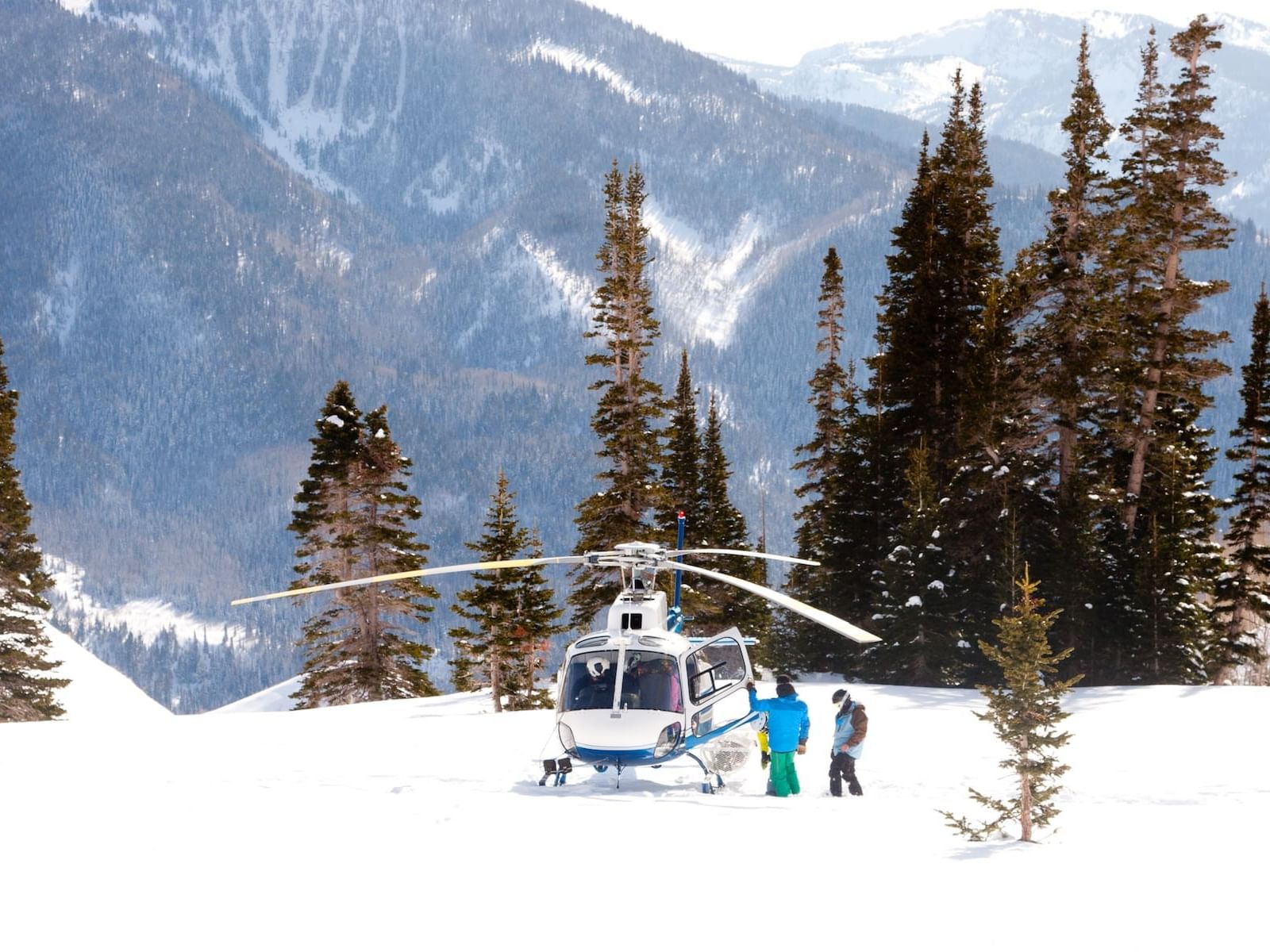 Powder Cat Heliskiing